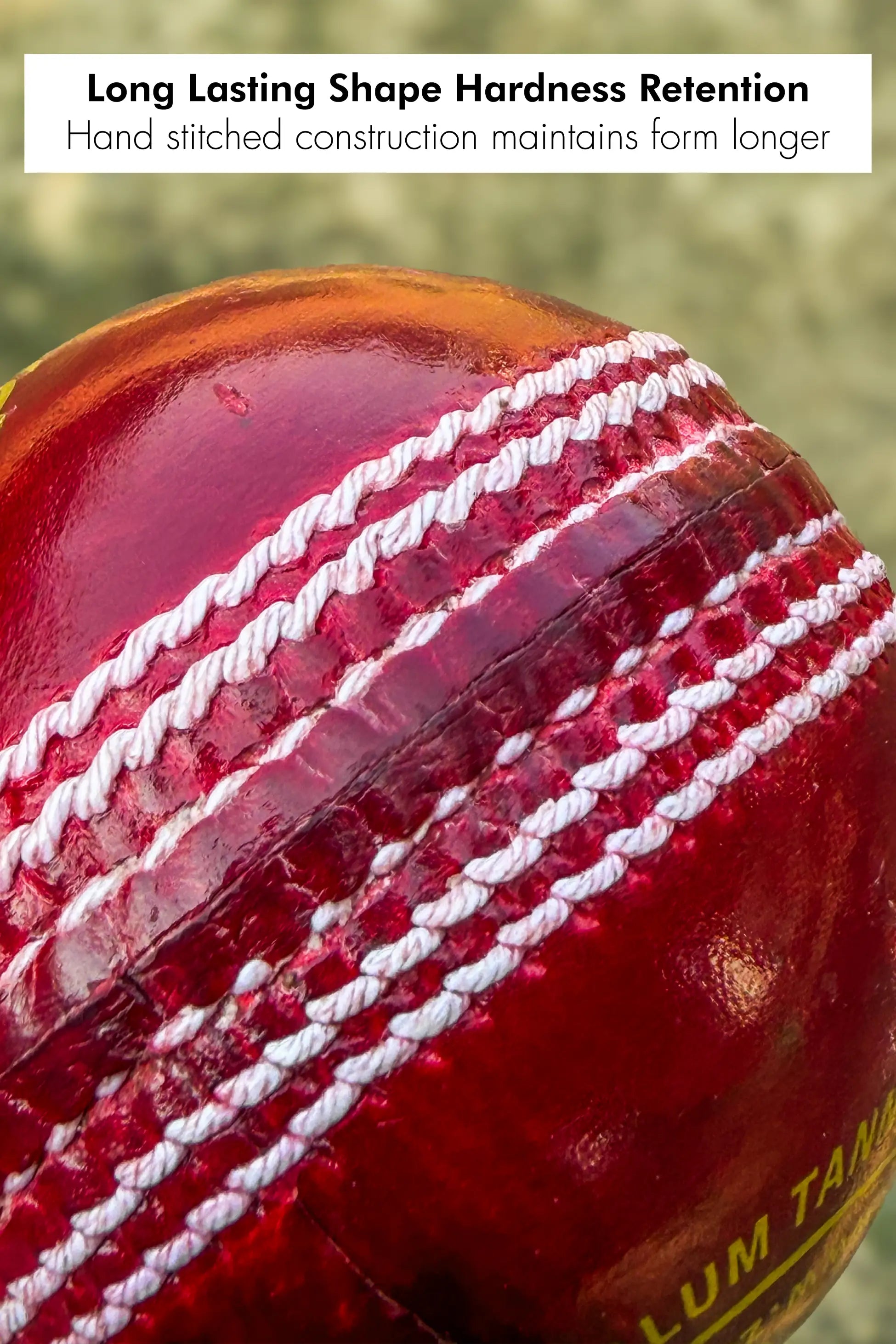 ZAP Pacer 20 Cricket Leather Ball-4