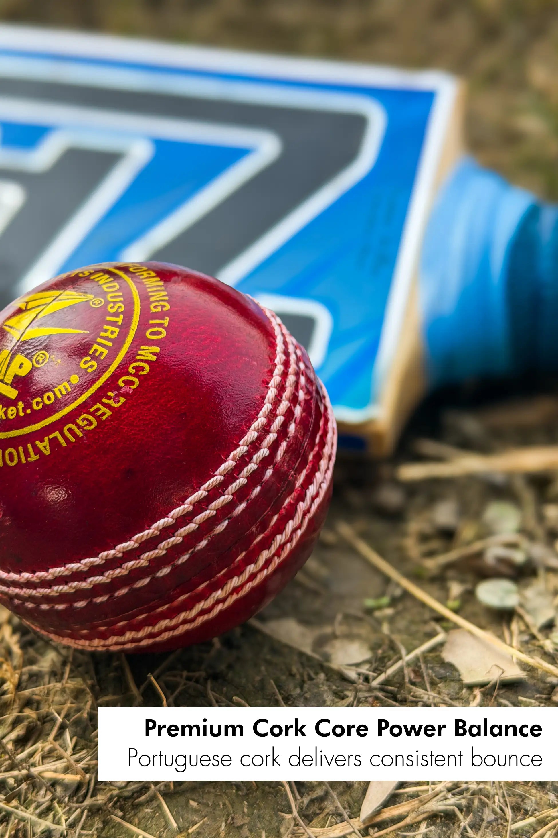 ZAP Pacer 20 Cricket Leather Ball-3